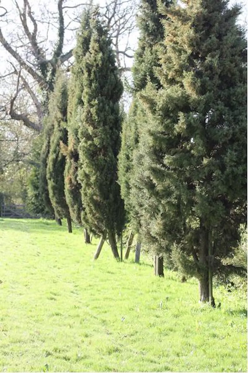 Film location C812 in West Sussex (photo 34)