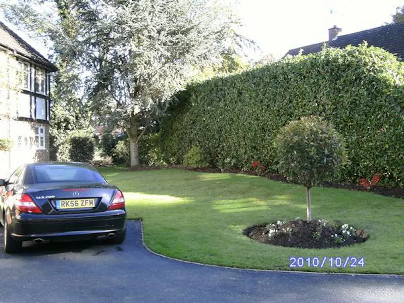 Film location D2065 in Surrey (photo 13)