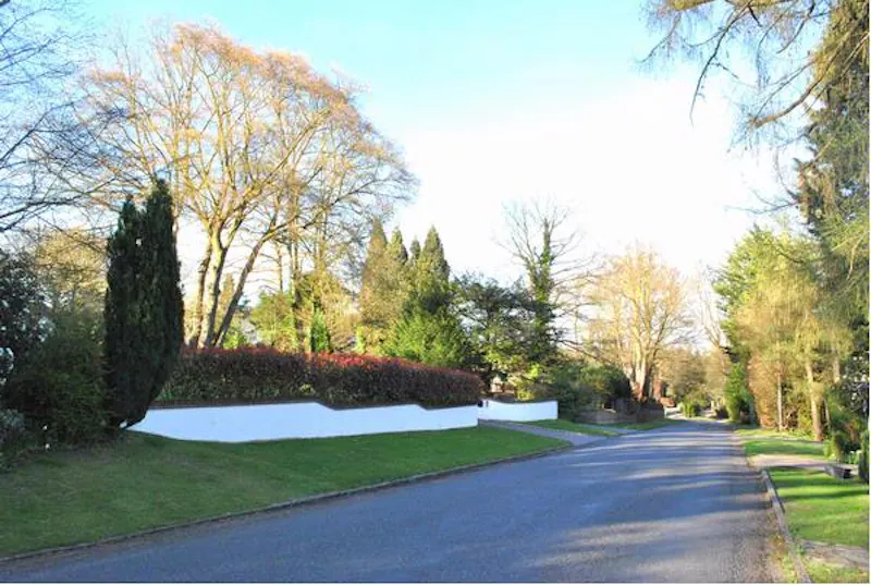Film location D2068 in Surrey (photo 29)