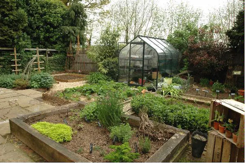 Greenhouse at Old parsonage in Shackleford, D2069 (photo 17)