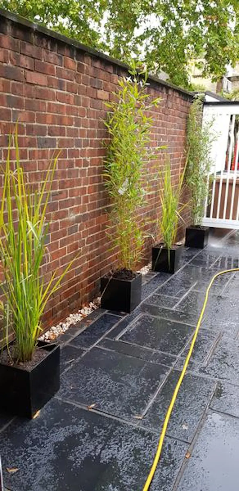 Forest Hill modern Townhouse, B1559 (photo 34)