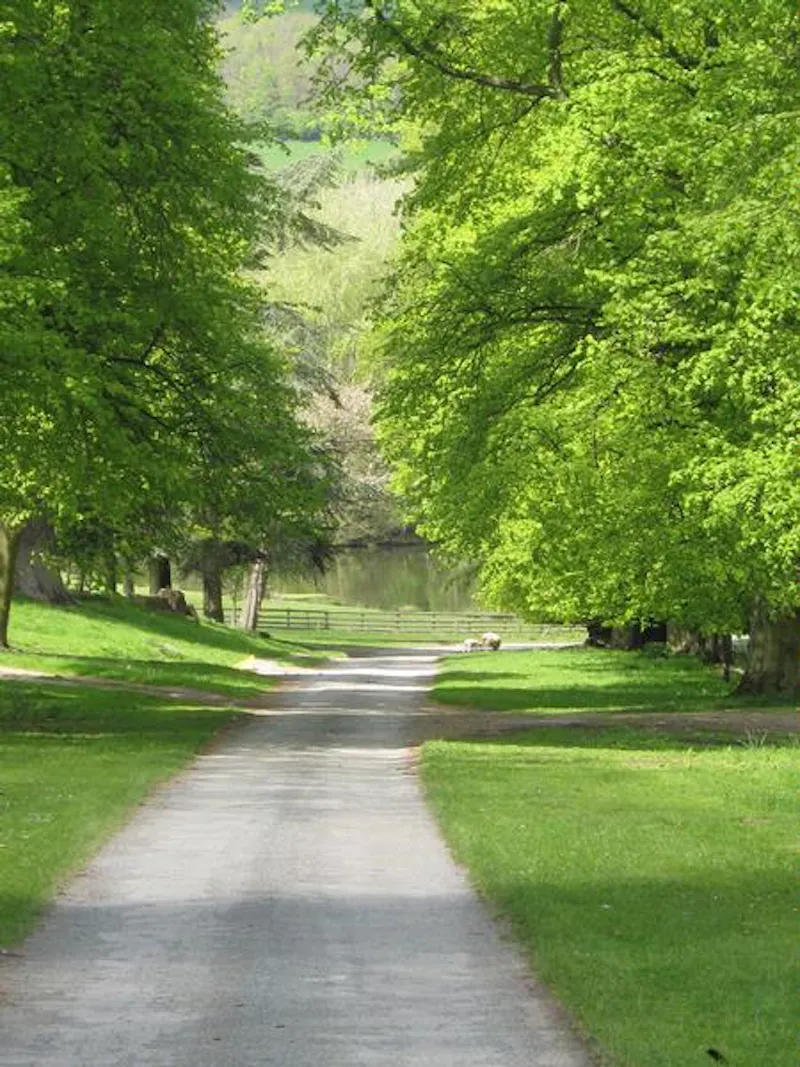 Driveway at Shropshire Hills house & lodge, A1266 (photo 16)