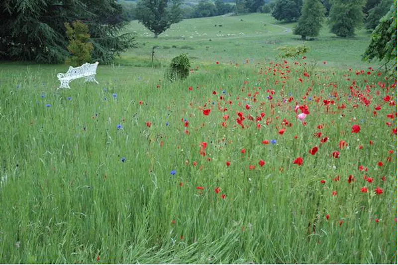 Views - country at Shropshire Hills house & lodge, A1266 (photo 18)