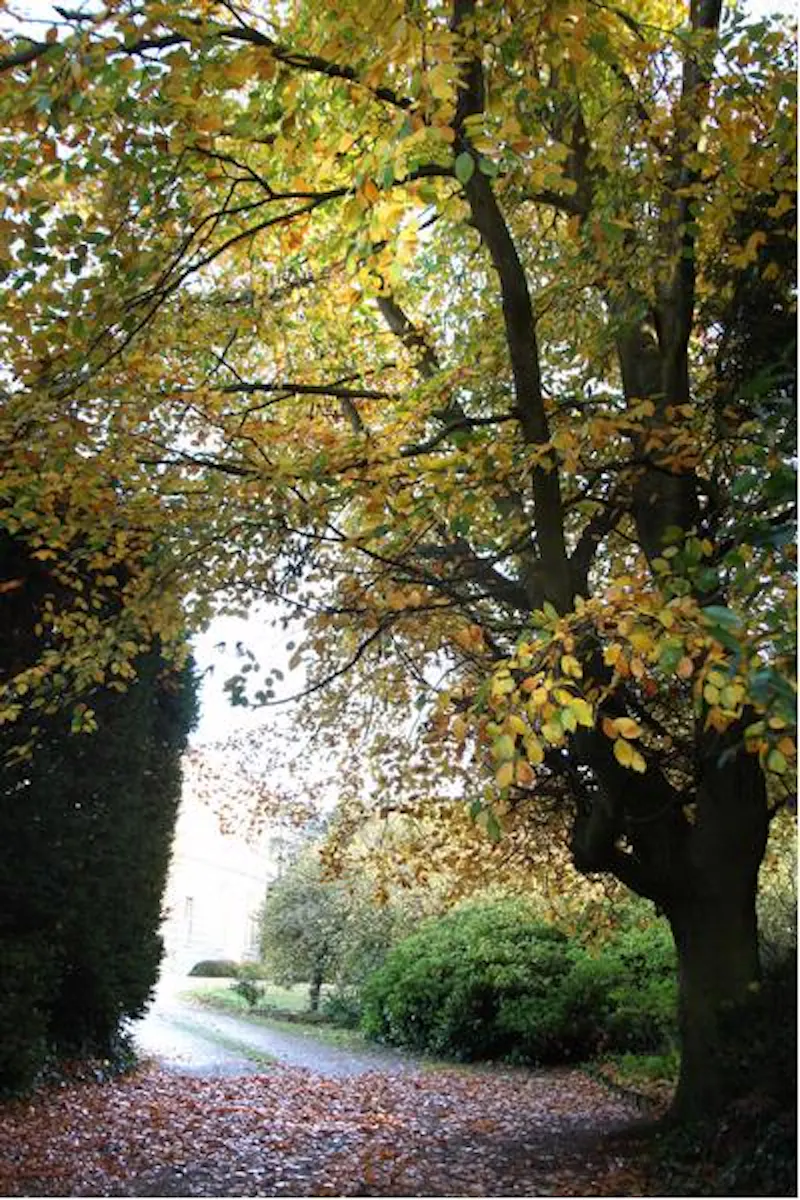 Georgian manor near Faversham, A1268 (photo 28)