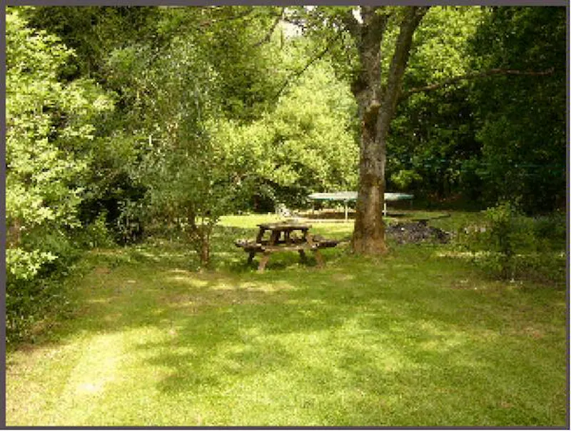 Garden at Film location C618 in Surrey (photo 21)
