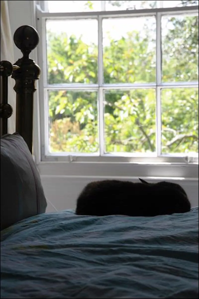 Bedroom at Film location L629 in Lincolnshire (photo 13)