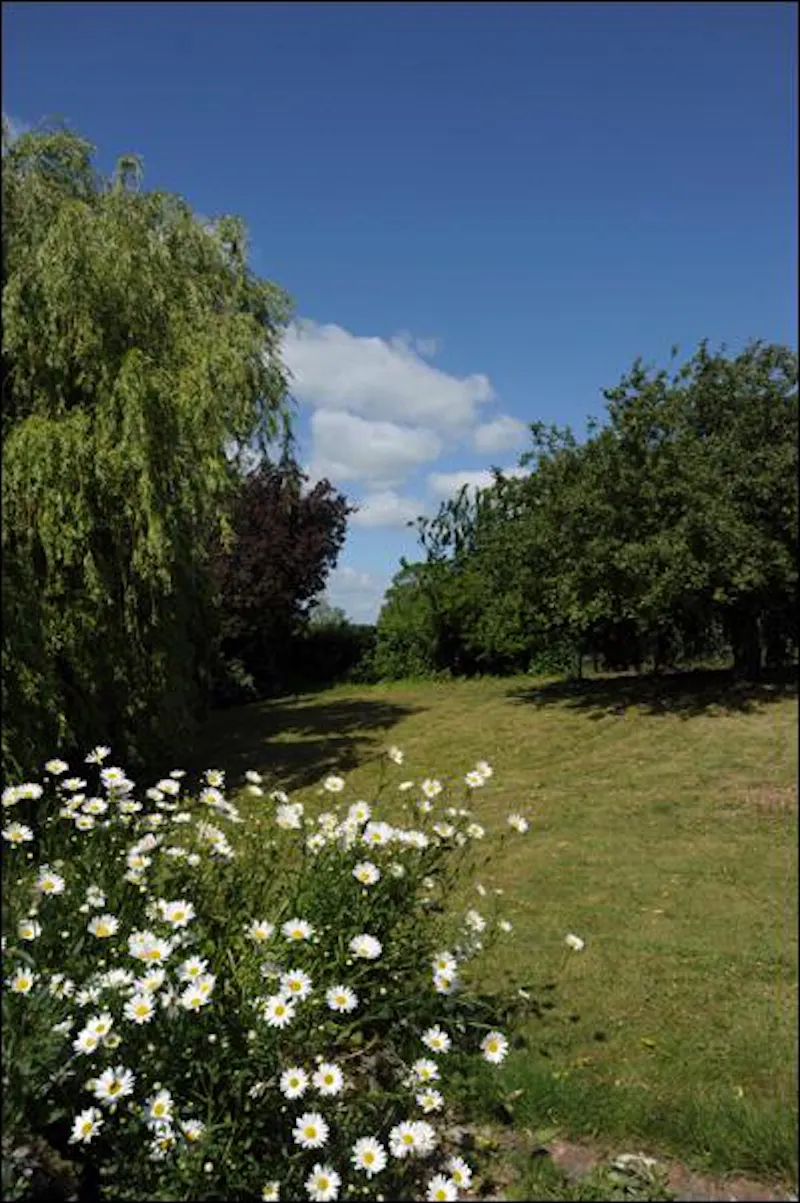 Garden at Film location L629 in Lincolnshire (photo 18)