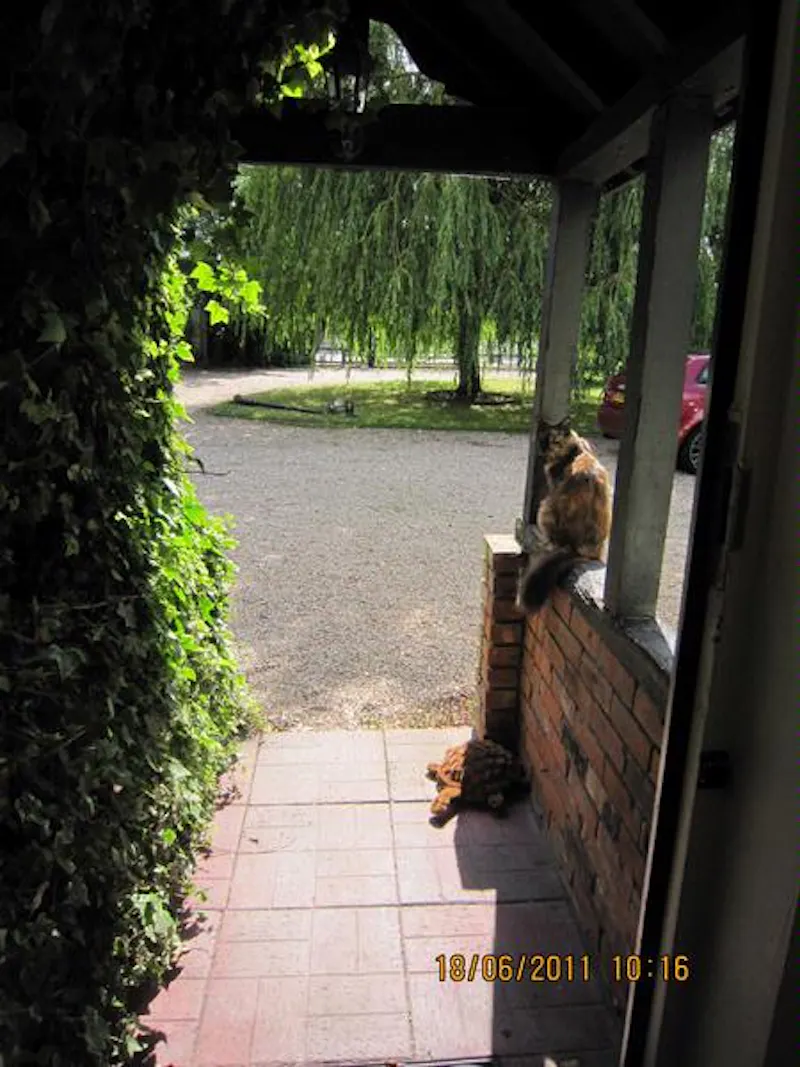 Film location C818 in Essex (photo 18)