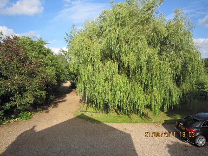 Film location C818 in Essex (photo 22)