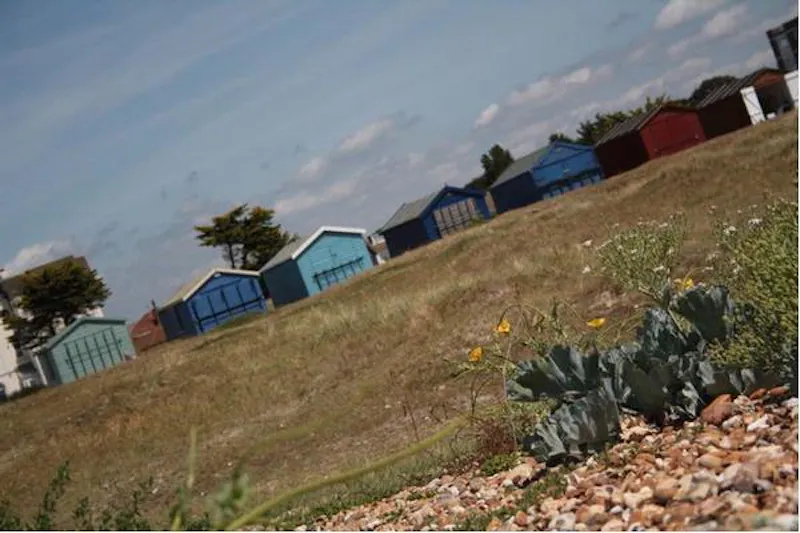 Hayling Island beach hut, C819 (photo 11)