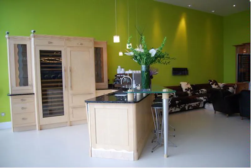 Colourful studio kitchen in Debden, Q58 (photo 3)