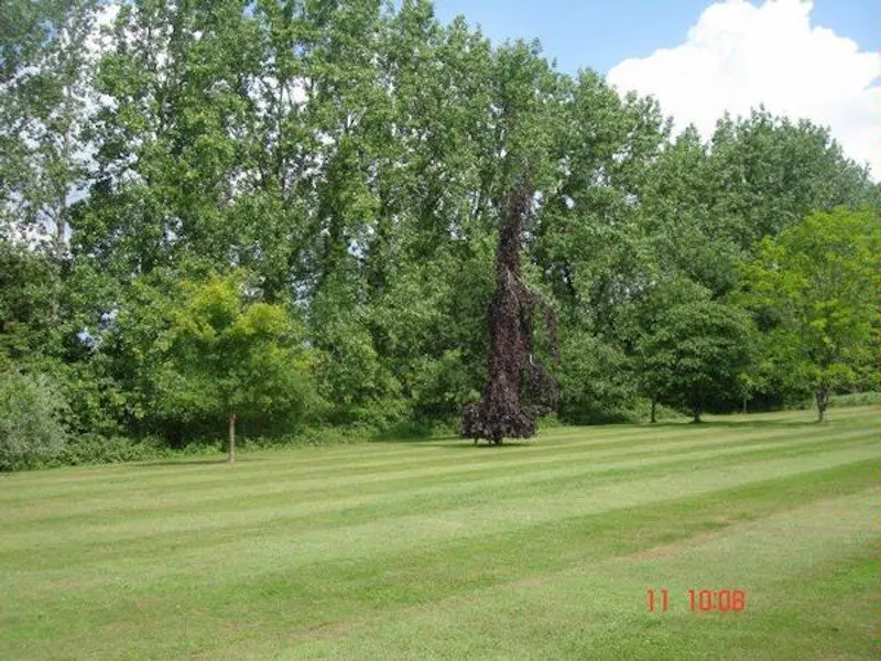 Film location C820 in East Sussex (photo 27)