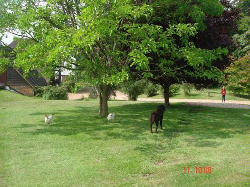 Film location C820 in East Sussex (photo 28)