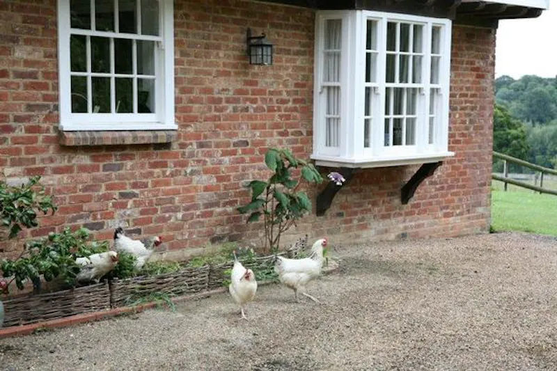 Film location C820 in East Sussex (photo 37)