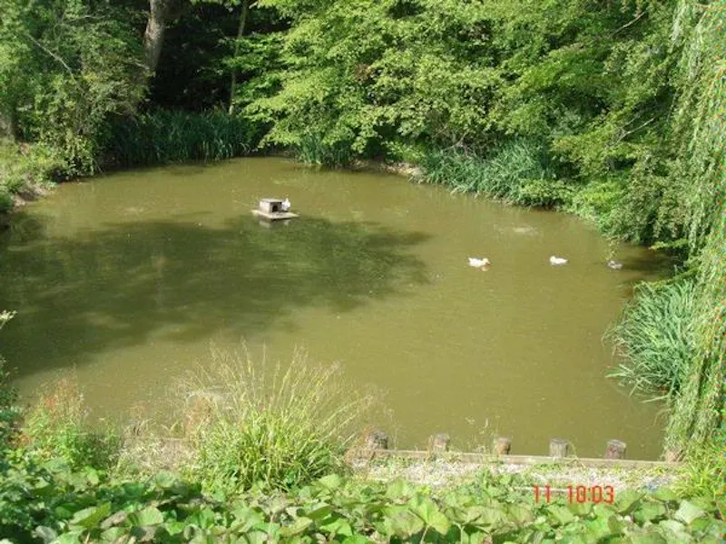 Lake at Film location C820 in East Sussex (photo 40)