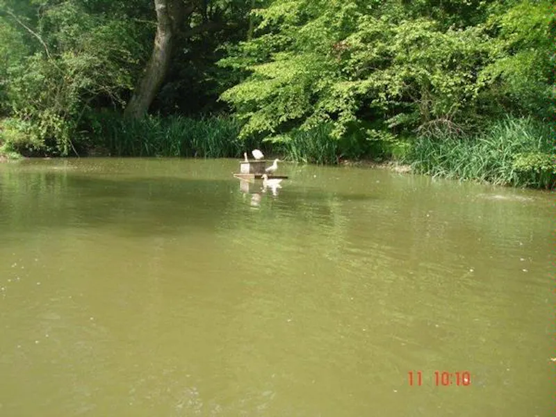 Film location C820 in East Sussex (photo 41)