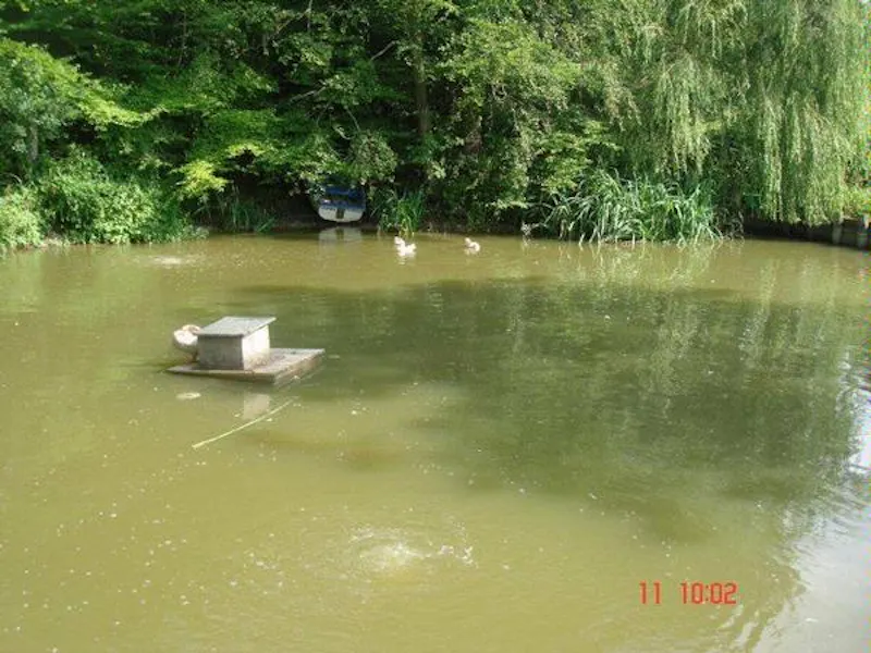 Film location C820 in East Sussex (photo 42)