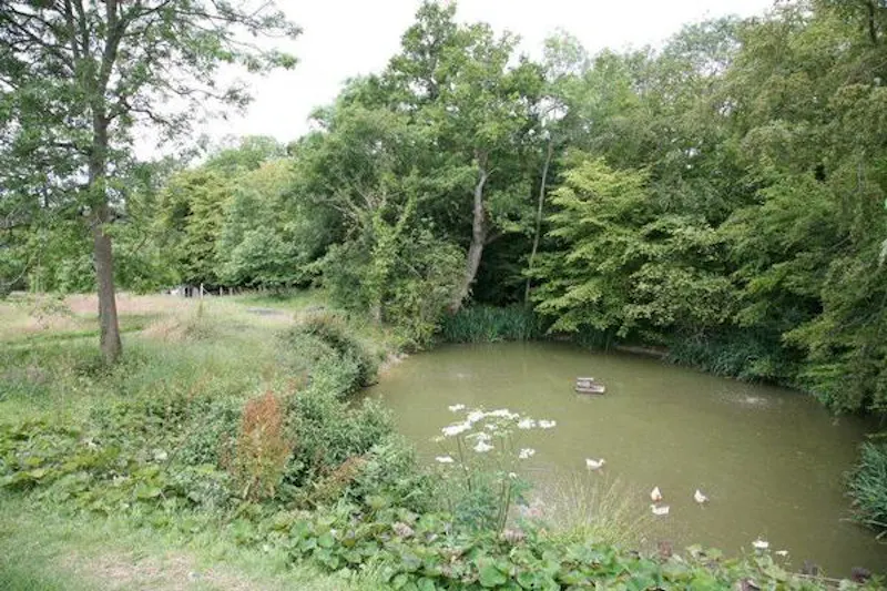 Film location C820 in East Sussex (photo 43)