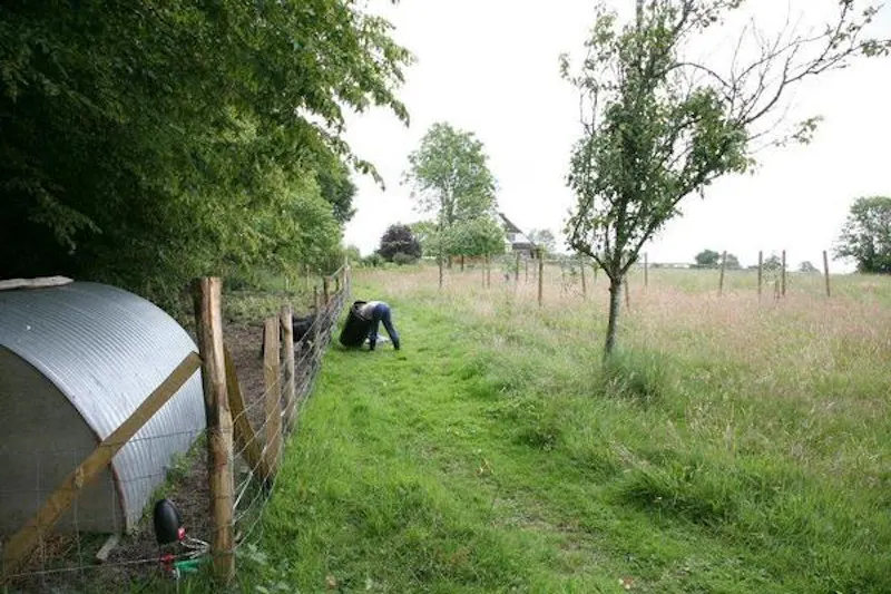 Film location C820 in East Sussex (photo 45)