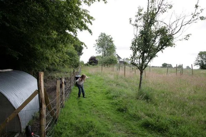 Film location C820 in East Sussex (photo 48)