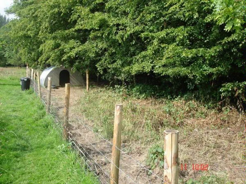 Film location C820 in East Sussex (photo 50)