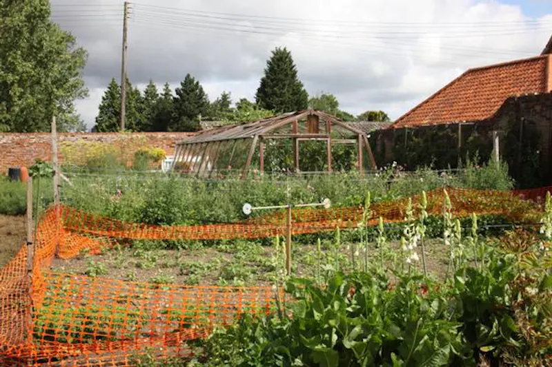 Film location L631 in Norfolk (photo 21)