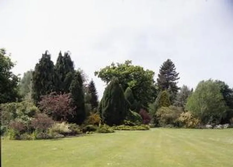 Film location L631 in Norfolk (photo 34)