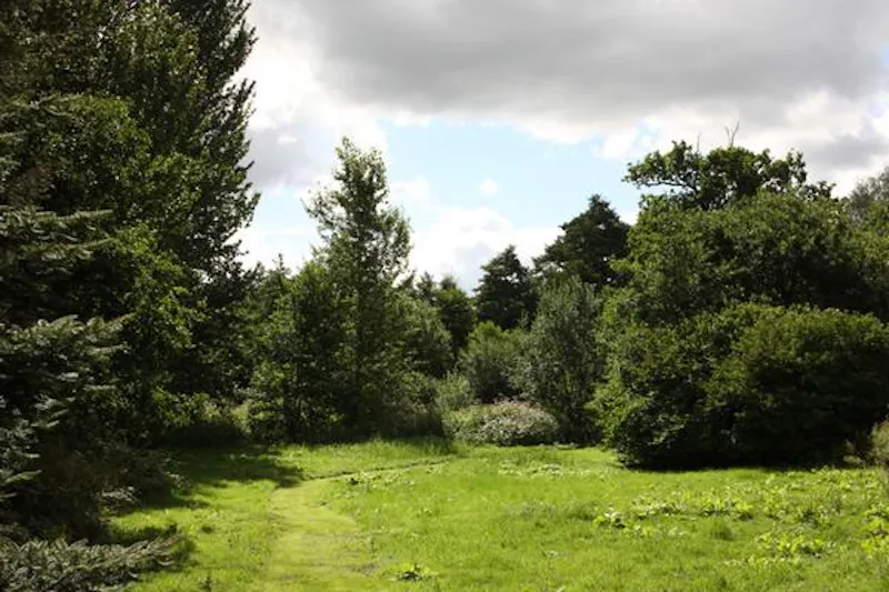Film location L631 in Norfolk (photo 35)