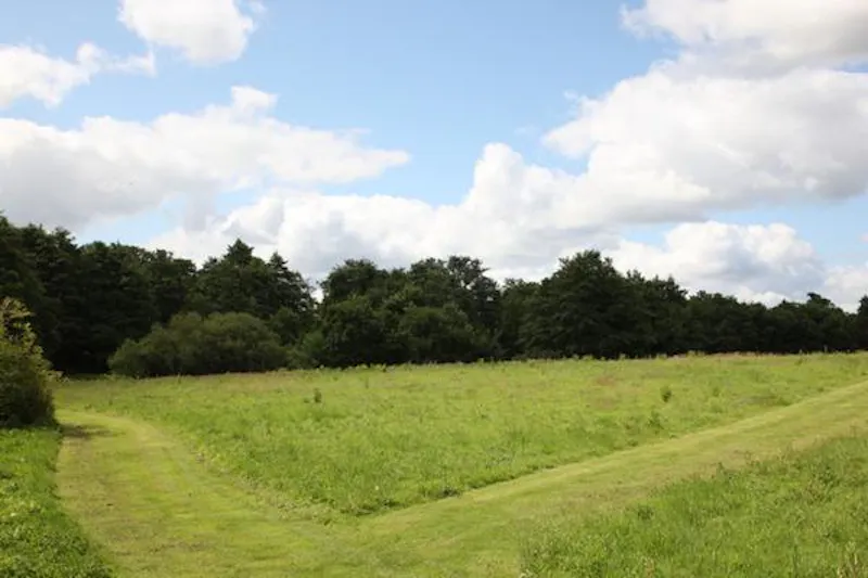 Film location L631 in Norfolk (photo 36)