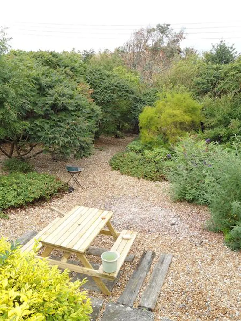 Garden at Winchelsea beach house, C822 (photo 18)
