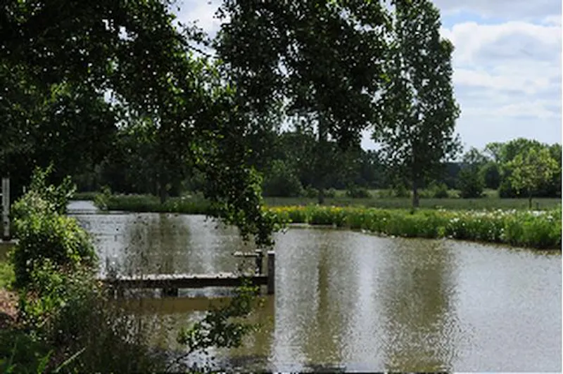 Film location L633 in East Sussex (photo 68)