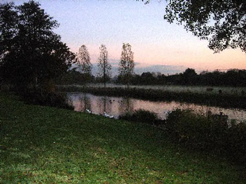 Film location L633 in East Sussex (photo 69)