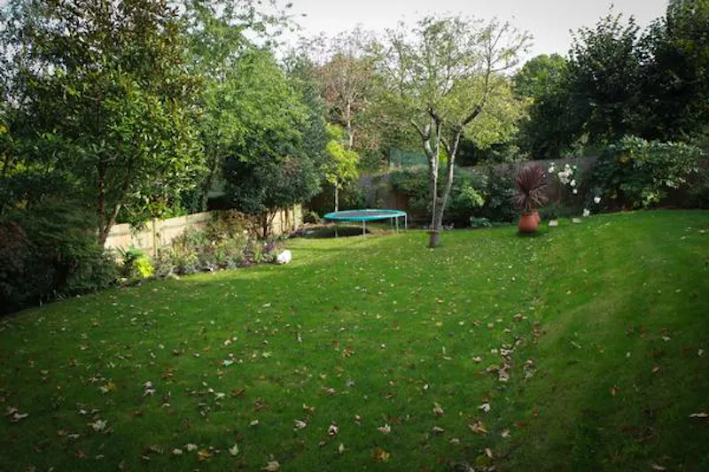 Garden at Modern Wimbledon house, D2087 (photo 28)