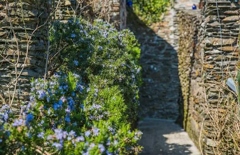 Film location D2090 in Cornwall (photo 27)