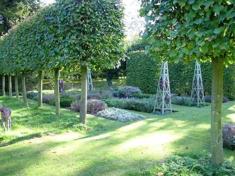 Garden - formal at Moated Stowmarket country house, L634 (photo 36)