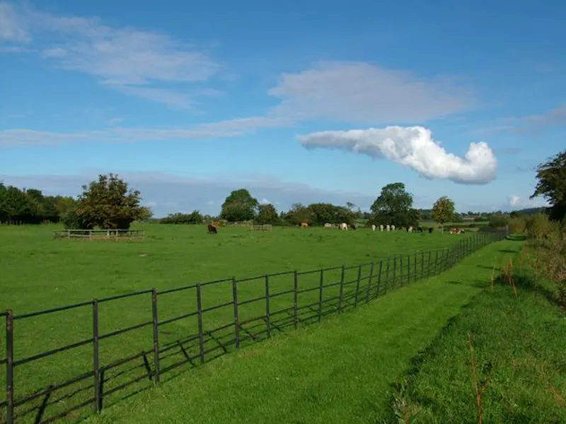 Views - country at Moated Stowmarket country house, L634 (photo 41)