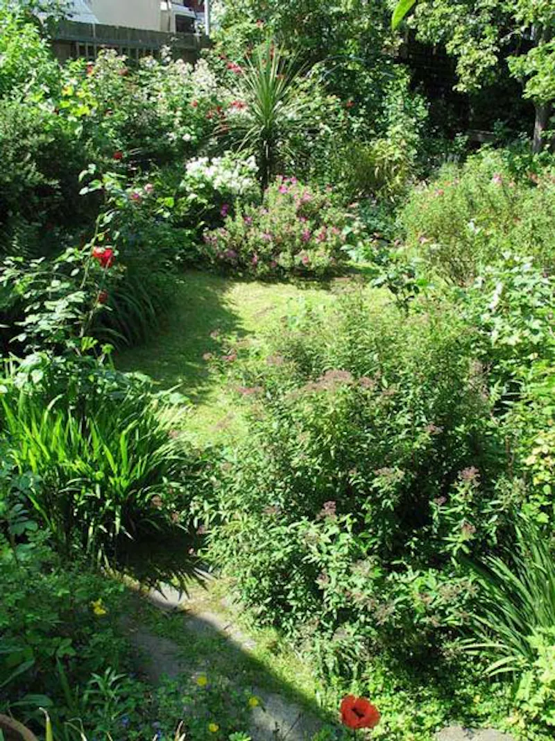 Garden at Stroud Green family house, B1002 (photo 18)