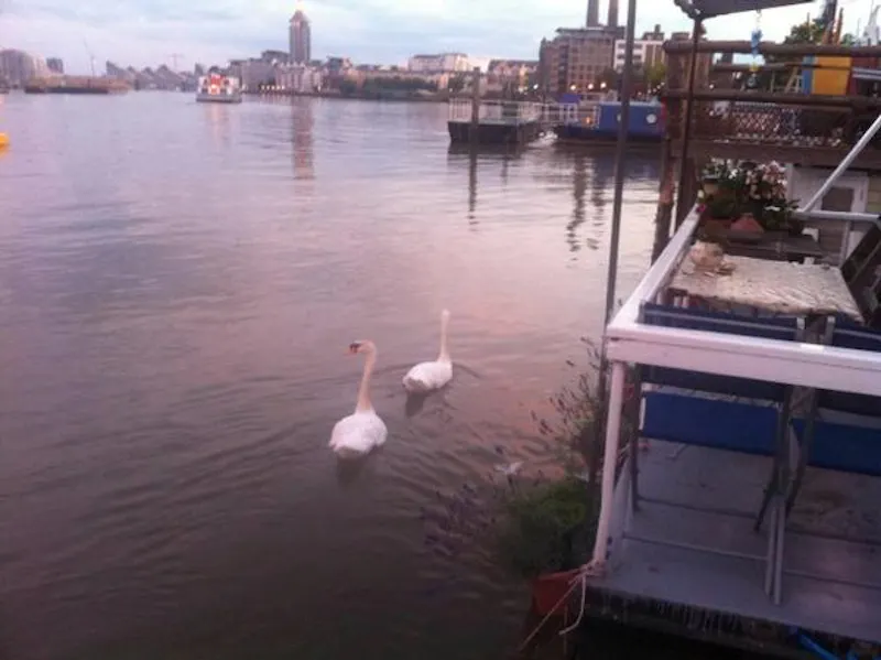 Film location HSE19 in London (photo 19)