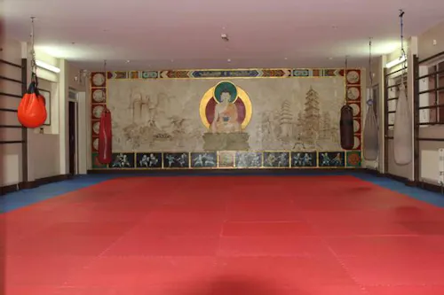 Kung Fu school in Tufnell Park, Q60