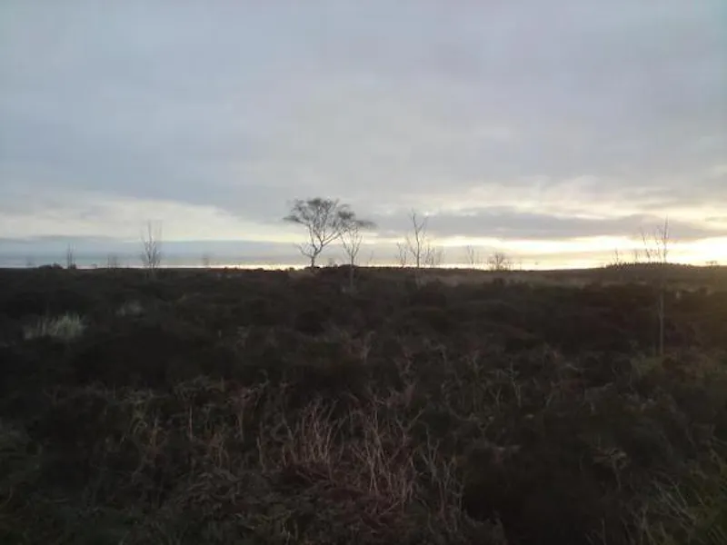 Film location L635 in Derbyshire (photo 17)