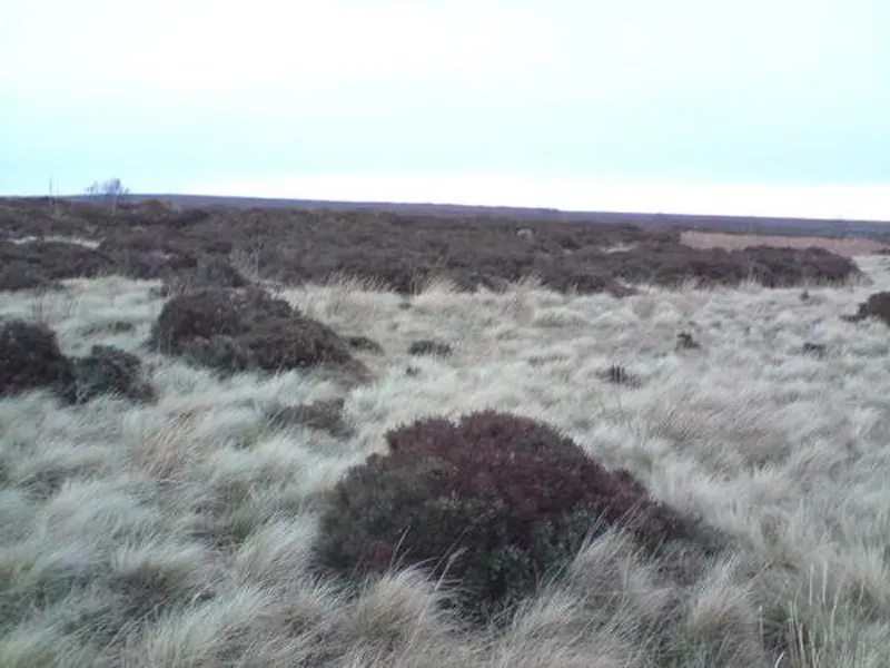 Film location L635 in Derbyshire (photo 26)