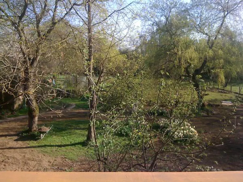 Garden at Film location D2103 in West Sussex (photo 20)