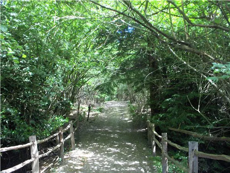Film location L636 in East Sussex (photo 15)