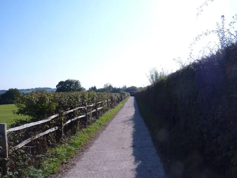 Film location L636 in East Sussex (photo 16)