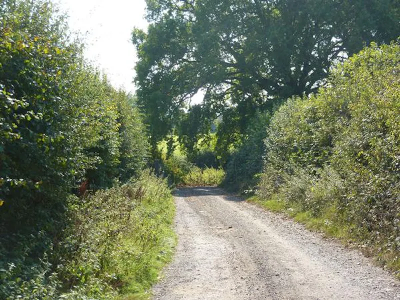 Film location L636 in East Sussex (photo 18)