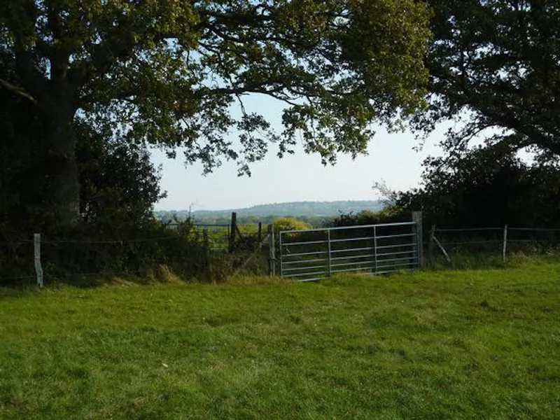 Film location L636 in East Sussex (photo 21)