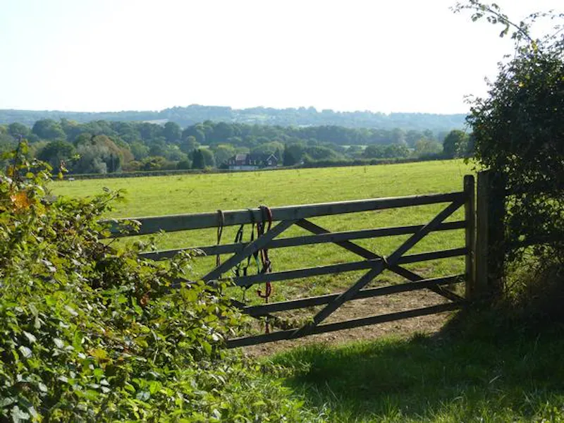 Film location L636 in East Sussex (photo 22)