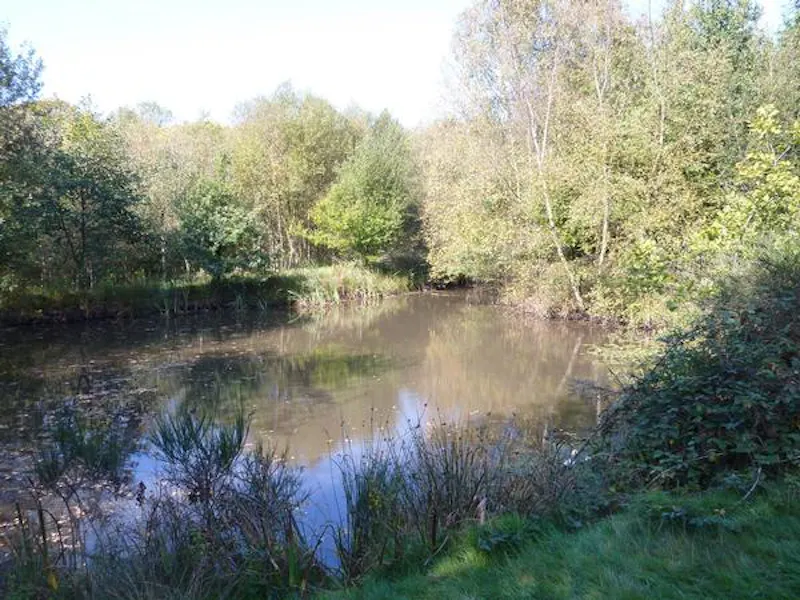 Lake at Film location L636 in East Sussex (photo 26)