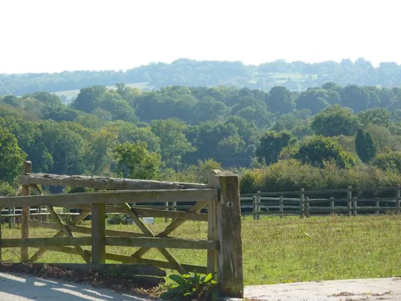 Film location L636 in East Sussex (photo 28)