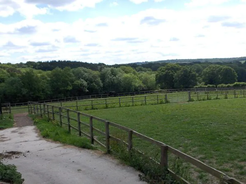 Film location L636 in East Sussex (photo 29)